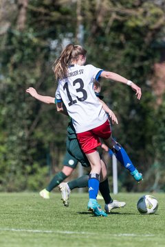 Bild 233 - wBJ Hamburger SV - WfL Wolfsburg : Ergebnis: 2:1